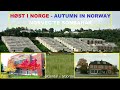 Autumn in Norway! - Autumn video - autumn 2022