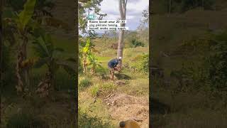 Download lagu Bagian 20 ||  rilis Iki  #storywa #viralvideo #quotes mp3