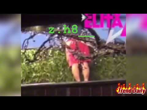 SNIMAK BEKSTVA IZ ZADRUGE SA NADZORNE KAMERE! Preskočio ogradu - iza kapije ga čekao njegov čovek?!