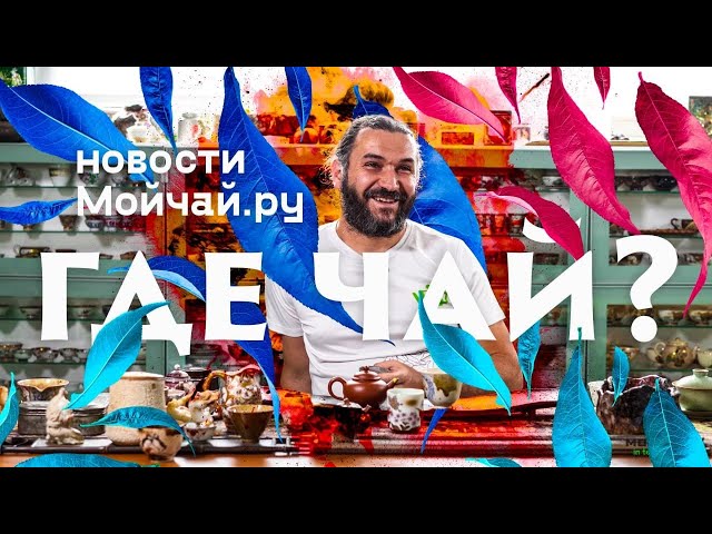 Новости Мойчай. Где чай? Новые Клубы и планы на 2021.