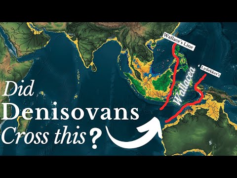 Did Denisovans Cross the Wallace’s Line?