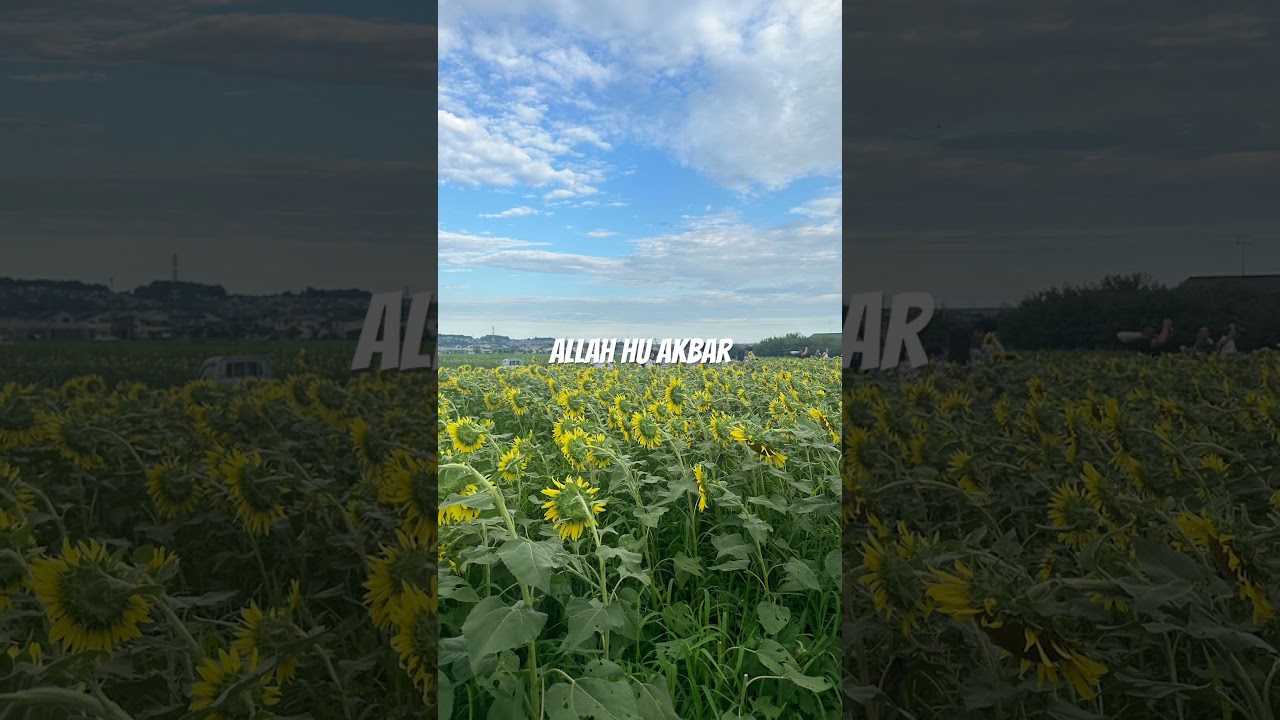 Quran Urdu translation