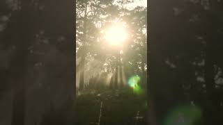 Msica para Relaxar - Ansiedade - Estudar - Msica para Meditar #shorts