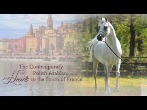 GALERIDA     On to MENTON