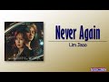 Lim Ji Soo 임지수 Never Again Wonderful World OST Part 2 Rom Eng Lyric