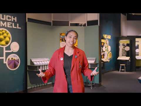 Through the Roof: Thermal Energy Transfer and Roofing Materials