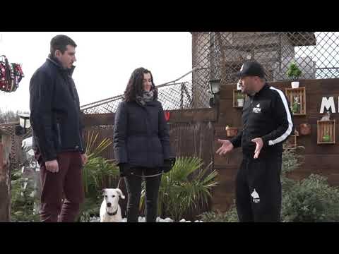 INCROYABLE INITIATIVE DU MALINOIS