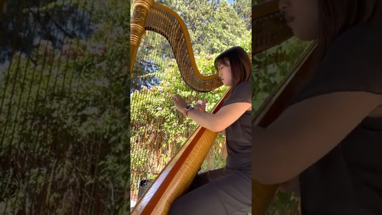 Promotional video thumbnail 2 for Bettina Harp
