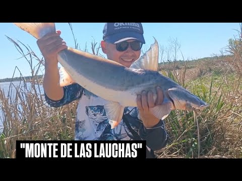 Pesca en FIGHIERA , Santa fe 2025!! 