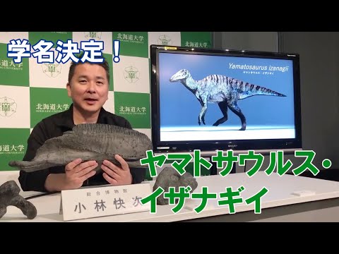 【学名発表】淡路島の恐竜化石を新属新種「ヤマトサウルス・イザナギイ」と命名（総合博物館 小林快次教授インタビュー）