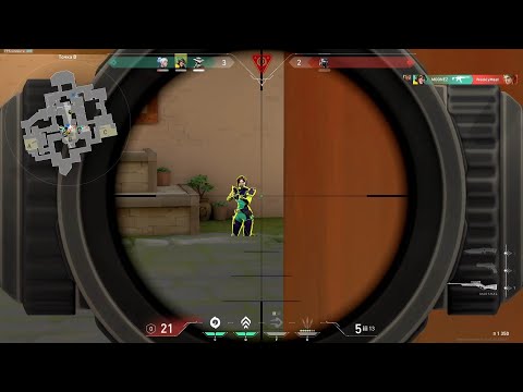 Operator & Scout kills