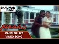 Narasimhudu Vanelollike Video Song Sarath Kumar Ramya Krishna Devayani