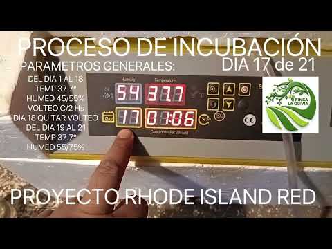 PROCESO DE INCUBACIÓN DIA 16/21 a 17/21