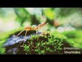 Tharam Padipicha Koodaram Whatsapp Status