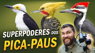 Miniatura do vídeo