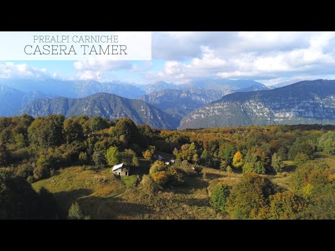 Casera Tamer alta // Prealpi Carniche