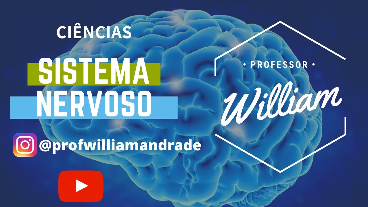 RESUMO Sobre o Sistema Nervoso | Ciências com William