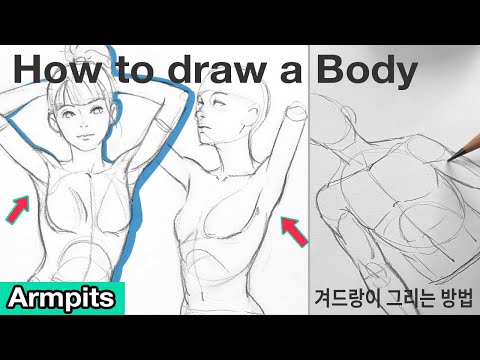 How to draw a Body - Upper Arm Anatomy (Armpit)