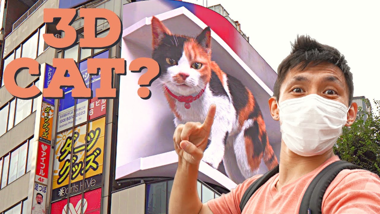 A voyager marvels at Shinjuku's mesmerizing 3D cat billboard.