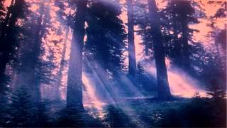 Axamenta   Through The Scarlet Forever