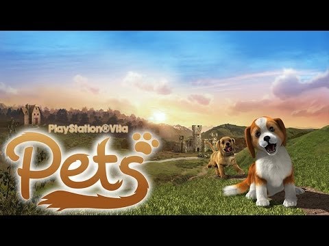 Pet in TV Playstation
