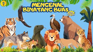 Download lagu Belajar Mengenal Macam - Macam Binatang Buas - Belajar Setelah Bermain mp3