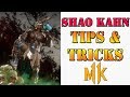 Mortal Kombat 11 Shao Kahn Tips Tricks