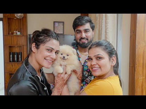 Duniya ka sabse chota dog diya cheeku ko gift // armaan malik