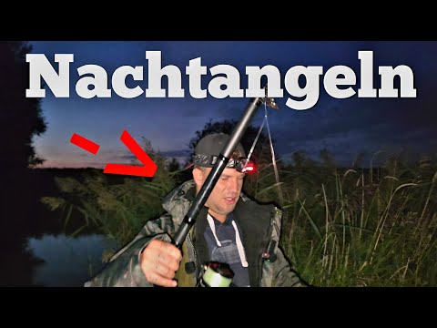 Daytime with a worm on the Leda River | What kind of fish are there here?