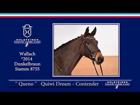 131 | Queno v. Quiwi Dream - Contender