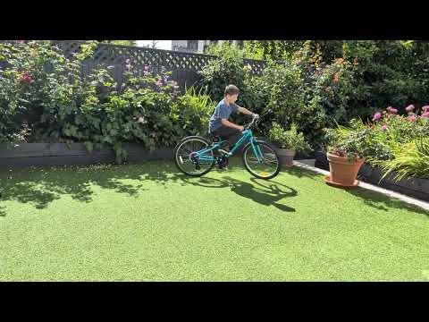 Bike - Ridgeback Dimension 24 - Image 2