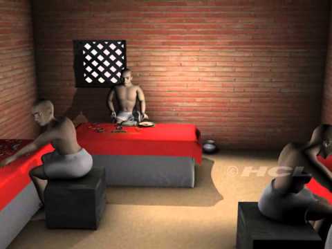 HCL Learning | Overview of Life in Harappan Civilization