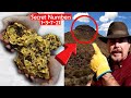 4 Secret Numbers to Finding Gold Deposits FAST