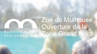 preview picture of video 'Zoo de Mulhouse : ouverture de l'espace grand Nord'