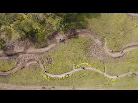 Dungog MTB Park