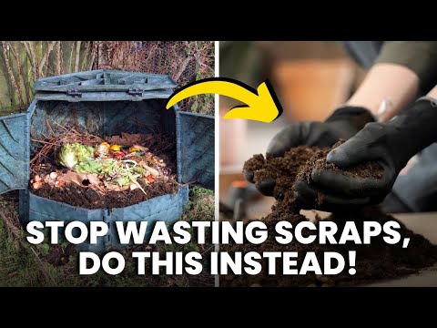 Don’t Trash It: How to Turn Food Waste Into Garden Gold (The Ultimate Composting Guide)