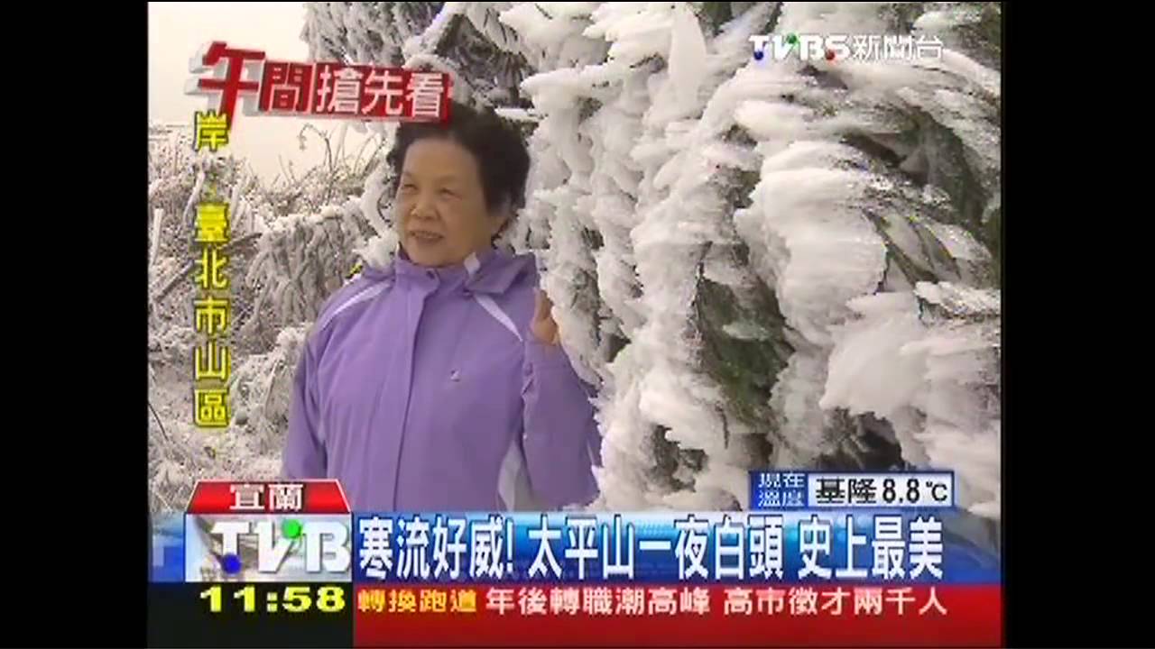 寒流好威!太平山一夜白頭 史上最美