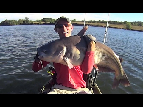 Kayak Catfishing: How to catch trophy size blue catfish in a kayak