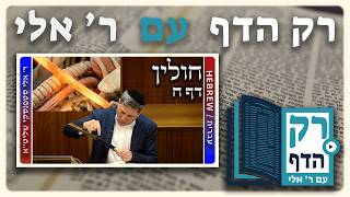 חזרה - חולין דף ח | "רק הדף" עם ר' אלי סטפנסקי