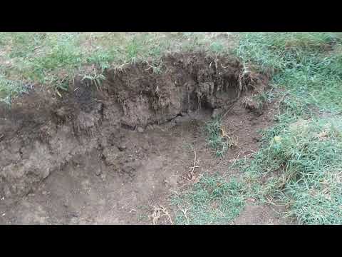 Savski nasip rupa u nasipu 28.8.2018.