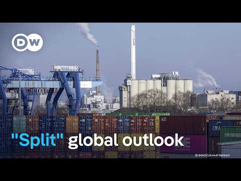 IMF: Economies resilient but inflation, energy hitting the poor hardest | DW News