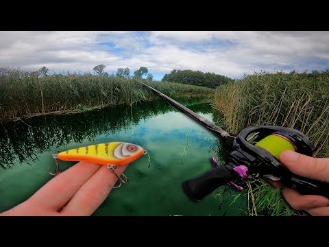 Catching PIKE In ULTRA SHALLOW Water (Aland Islands!)