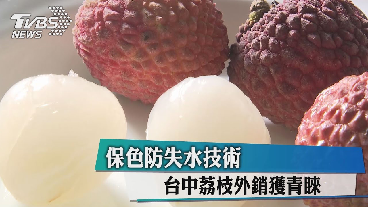 保色防失水技術 台中荔枝外銷獲青睞