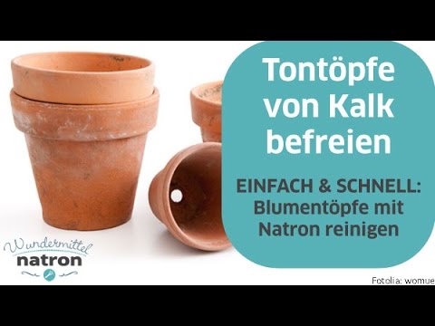 Blumentopf reinigen – Tontöpfe mit Natron von Kalk befreien