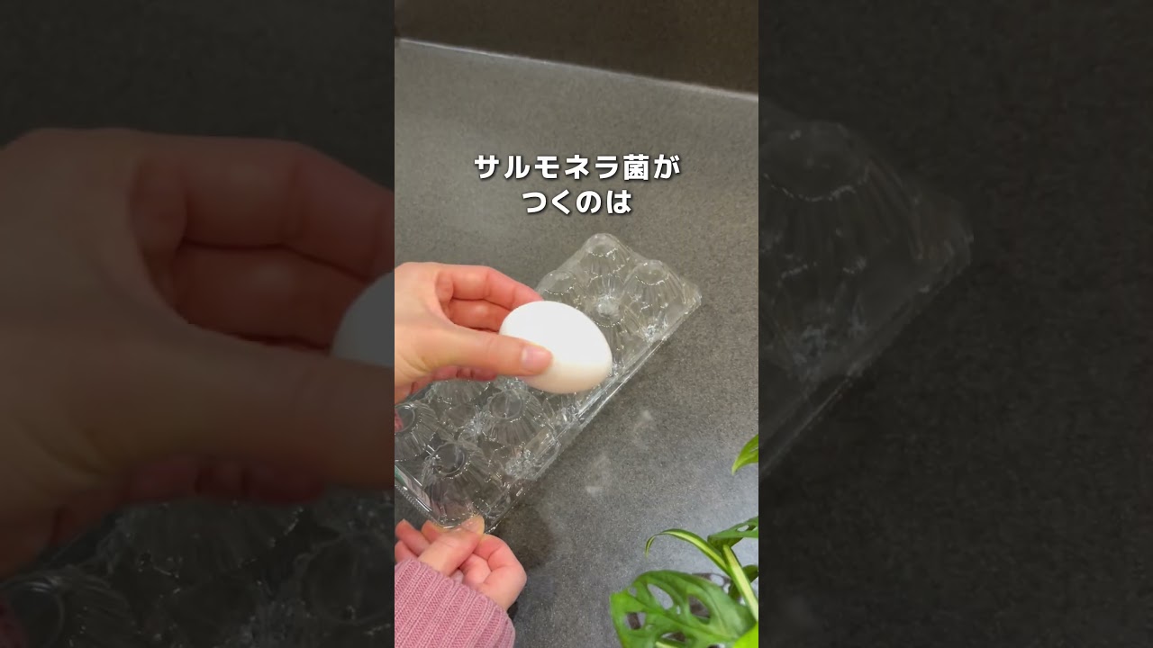 【製氷器で】おうち手まり寿司
