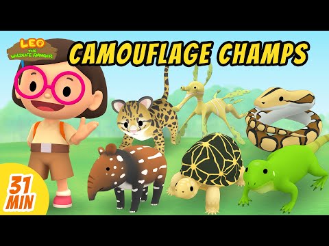 Camouflage Champs Minisode Compilation - Leo the Wildlife Ranger | Animation | For Kids