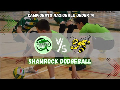 U14 Shamrock Ravenna - Empoli Swarm / Campionato Nazionale