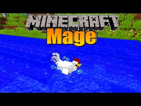 There are no real chickens anymore?!  - Minecraft Mage #26