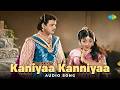 Kaniyaa Kanniyaa Audio Song Karpukkarasi G Ramanathan T M Soundararajan Jikki