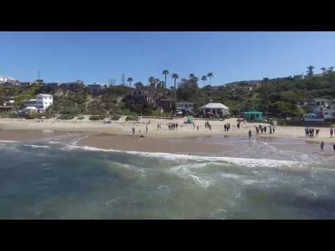 Dolphin Birthing Circles at Crystal Cove State Park